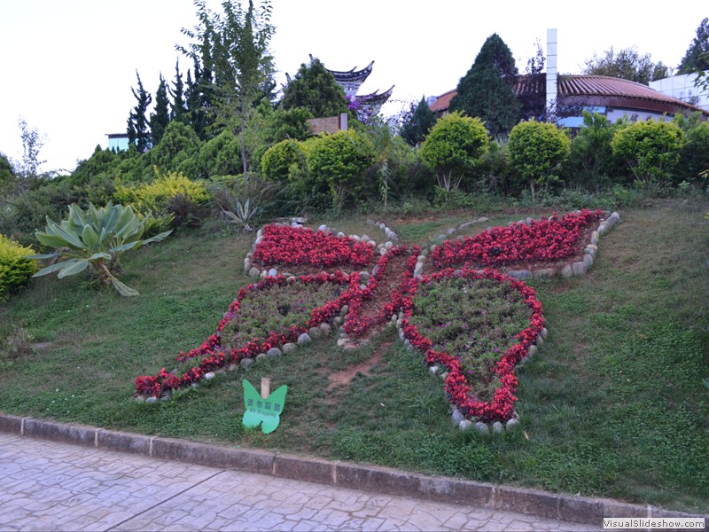 Flowers mark the entrance to the Butterflies.