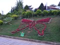 Flowers mark the entrance to the Butterflies.